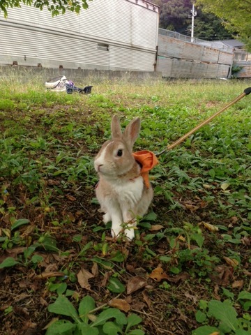 写真 1 (1)