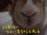 エロ本くらい大めに見ちゃらんね