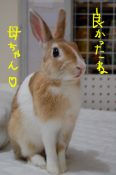 良かったね