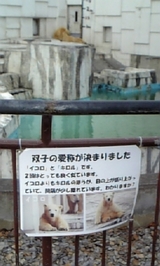 3f492867.jpg