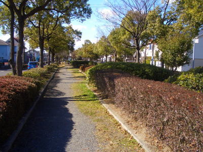 ���ʥ��Υ������ʻԤȻ����ԻԤ���Ȥ������ᡢ����̾��