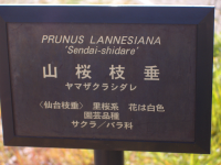 �����޿�