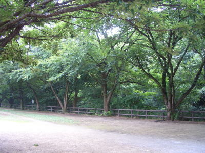 ̣����һ���ʯ�βƥС��������ͻ�