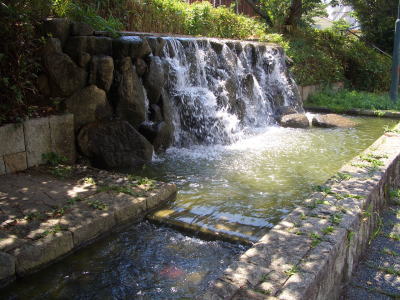 �����Ӹ���ˤ�����ή�����