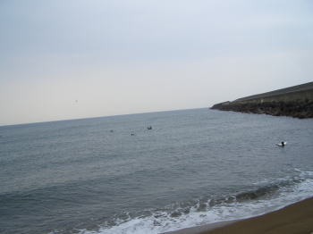 �����ե���γ�