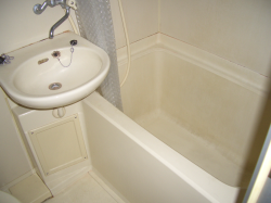 ���ߥޥ󥷥�󡡥ץ��ե������������Ϥ