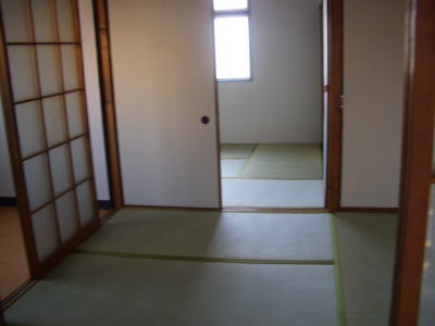 �ϥԥͥ������μ���