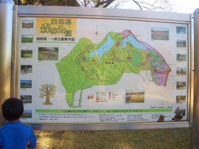 ��ĥ���Ԥˤ��밦�θ����Ӹ���