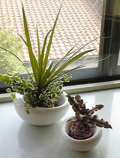 �ե�����󥸤κ��ʡ��ݶ̺���