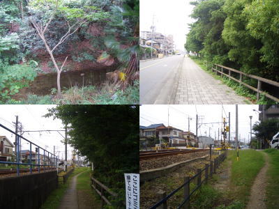 ̣����һ���ʯ�μ�����⤯