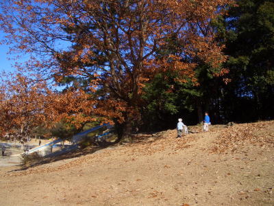 ���ܤä��꽦��