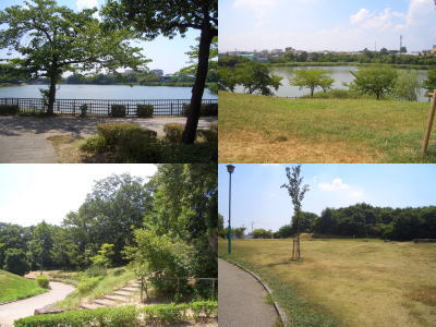 �����Ӹ���θ�����