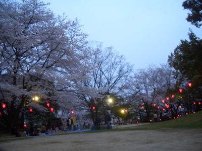 �뻳��������