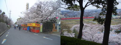 ���ޤĤ�����