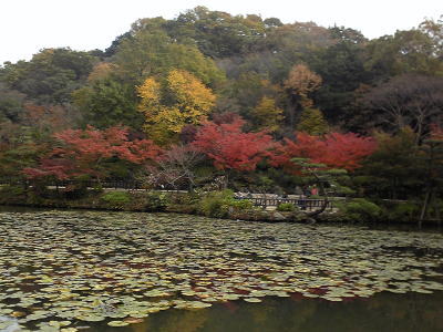 �컳ư��ʪ��ι���