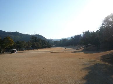 葵CC10番ホール