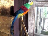 ��¼����