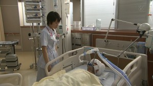 kitano5