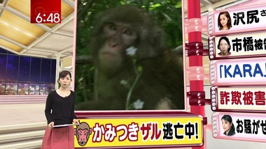 ep49280