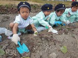 DSCN1187