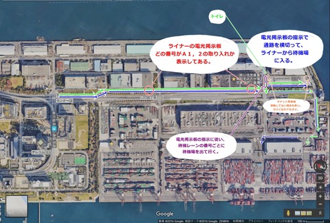 青海ツインドラゴン