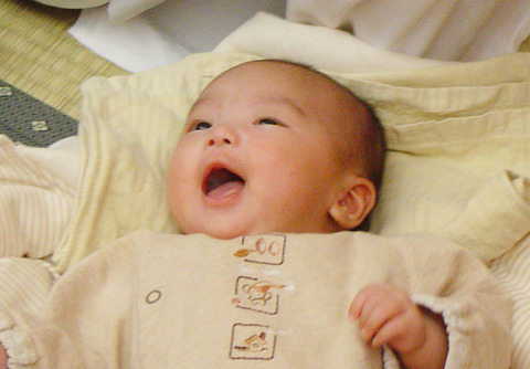 aibaby