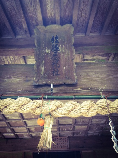種穂忌部神社