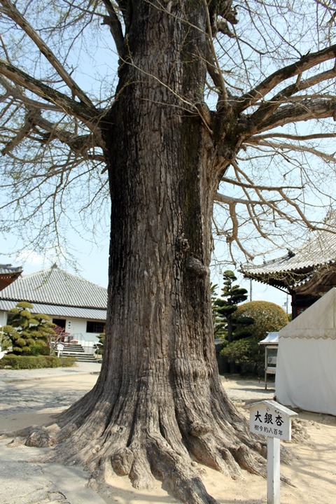 藍色工房 【地蔵寺②】