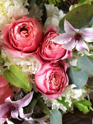roses2