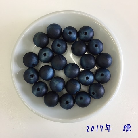 ヒノキビーズ縹2017