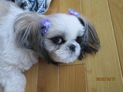 IMG_0160 (400x300)