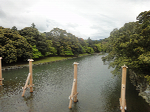 DSC01229_resize1
