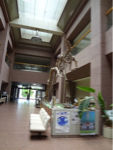 xxDSC01392