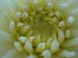 DSC04004