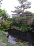xxDSC01353