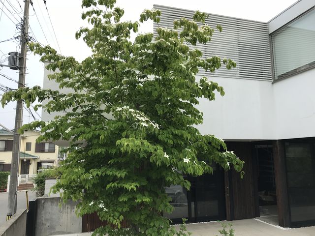 8AFA26AA-1CBA-435E-9512-CD7710E9794B