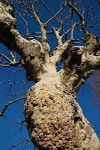 kis0122-066_m_resize1