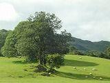 DSC03762