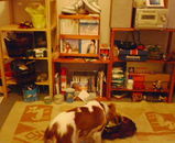 127b16cd.jpg