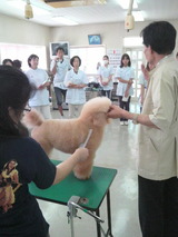 2010090310080000
