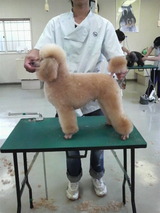 2010090312530000