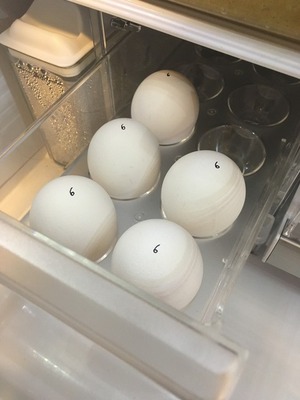 卵2