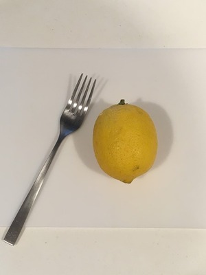 レモン1