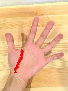 ・胃・脾・大腸区(い・ひ・だいちょうく)