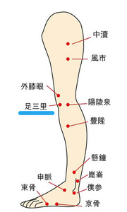 足三里(あしさんり