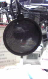 5313708c.jpg