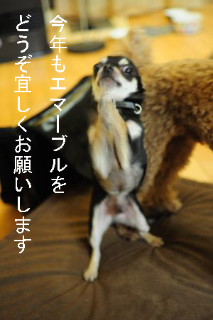 4のコピー
