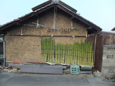 DSCF3009