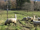 e780f062.jpg