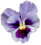 hana-murasaki